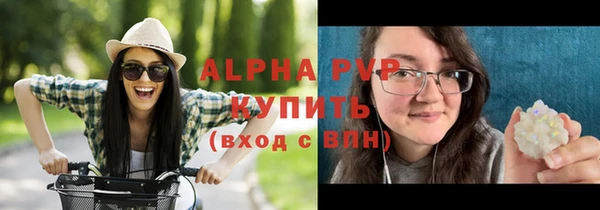 стаф Снежногорск