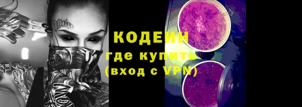 стаф Снежногорск
