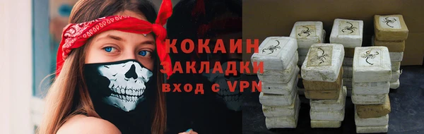 стаф Снежногорск
