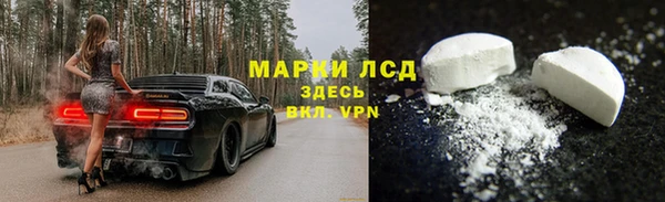 стаф Снежногорск