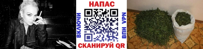 Бошки Шишки SATIVA & INDICA  даркнет сайт  мега онион  Тутаев 